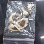 Drum Sticks-Seeds